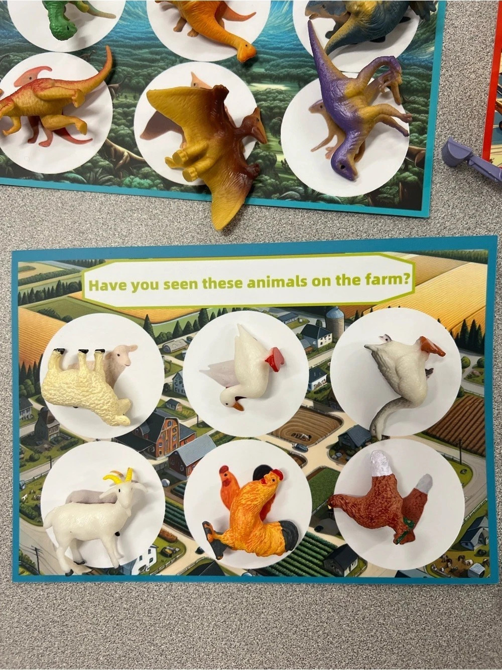 Learning sorting activity - Picture 8 of 13